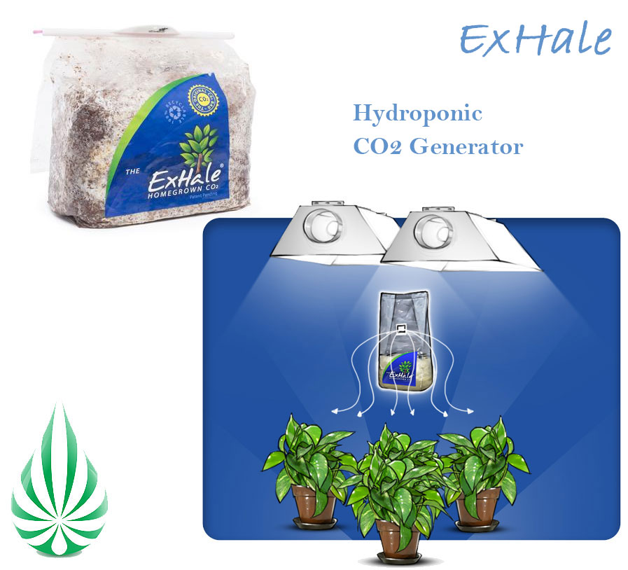 Hydroponics CO2 exhale.jpg