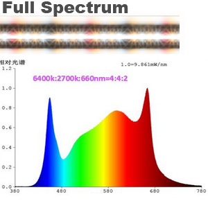 full spectrum led power bar